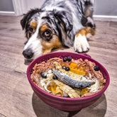 Garden of Eatin' Tipsy Bowl Lick Mat-Slow Feeder-Rover Pet Products